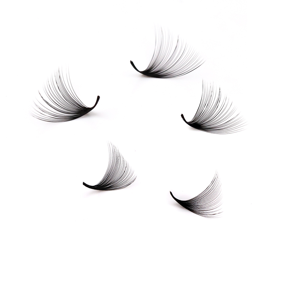 Lashprofessor XL Tray 3D 4D 5D - Eyelash Extension Fan recensione e prezzo